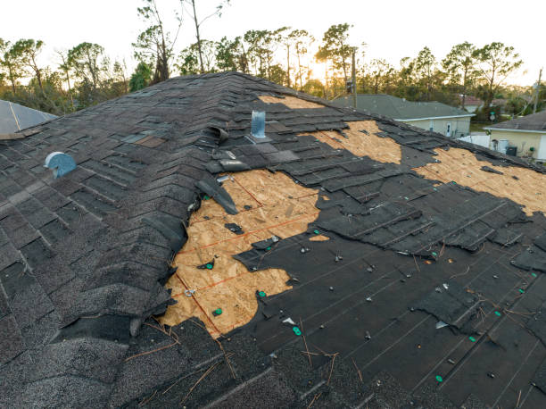 Best Slate Roofing  in West Newton, PA